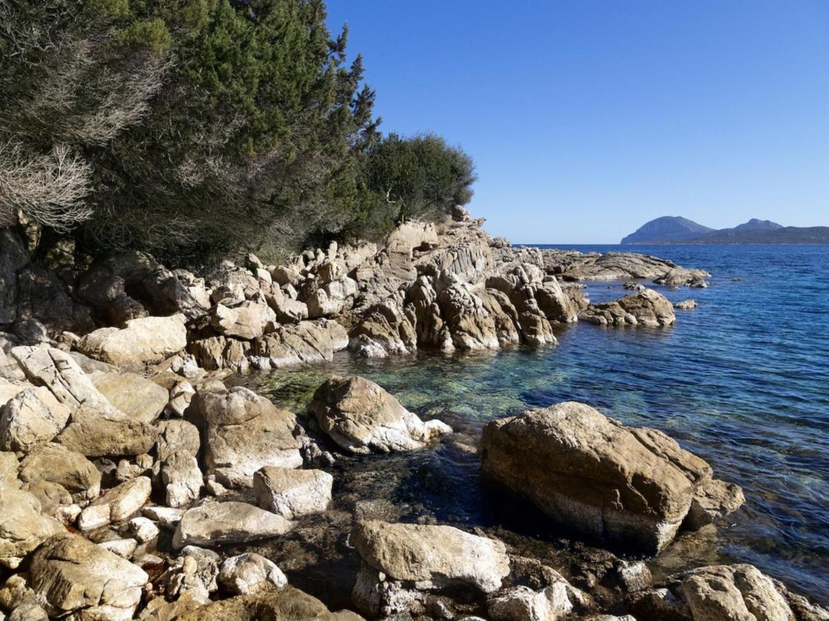 Apartment La Nina By Interhome Porto Rotondo Bagian luar foto
